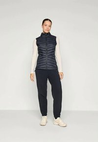 Columbia POWDER PASS™ HYBRID VEST - Γιλέκο - black