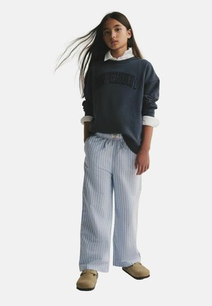 REGULAR FIT - Sweatshirt - washed grey