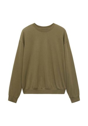 Sudadera verde hecha de tela suave, con cuello redondo, mangas largas y dobladillo acanalado. Sencilla, sin patrones ni detalles metálicos.