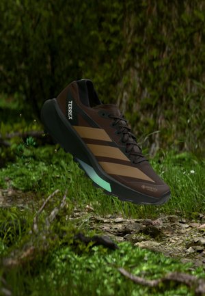 Bruine en zwarte Adidas Terrex trailrunschoen met Gore-Tex, zwevend boven een bosgrond met gras en kleine stenen.