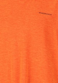 Kortärmad orange t-shirt i mjukt, strukturerat tyg. Försedd med "ENDURANCE" tryckt i svart på framsidan.