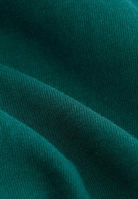 Next REGULAR FIT - Langærmet T-shirt - bottle green