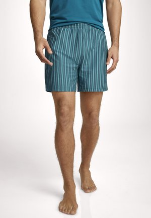 Mann trägt gestreifte Shorts in Blaugrün und Marineblau sowie ein blaues T-Shirt, steht barfuß vor einem schlichten hellen Hintergrund.