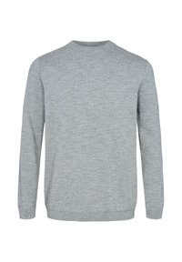 Lichtgrijze pullover trui gemaakt van gebreide stof, met lange mouwen, een ronde halslijn en een gladde textuur zonder patronen of versieringen.