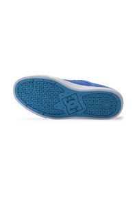 DC Shoes TEKNIC - Trainers - xbbw blue white