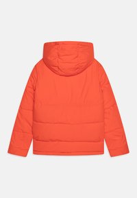 Jack & Jones Junior JJWORLD PUFFER - Χειμωνιάτικο μπουφάν - dragon fire
