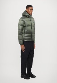 EA7 Emporio Armani GIUBBOTTO - Zimska jakna - beetle