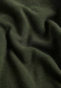 Next CREW NECK - Pulover - khaki green