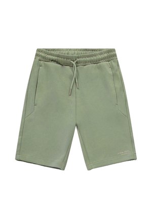 Lichtgroene katoenen shorts met een elastische tailleband, aantrekkoord, twee zijzakken en een klein logo aan de onderkant aan de rechterkant.