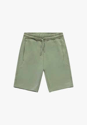 Lichtgroene katoenen shorts met een elastische tailleband, aantrekkoord, twee zijzakken en een klein logo aan de onderkant aan de rechterkant.