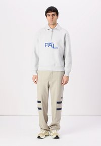 Pal Sporting Goods WET PASS HALF ZIP UNISEX - Φούτερ - light gray