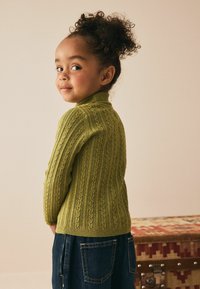 Grüner Strickpullover mit strukturierten Zöpfen, hohem Kragen und gerippten Bündchen. Kombiniert mit dunklen Jeans. Der Hintergrund zeigt einen gemusterten Baumstamm.