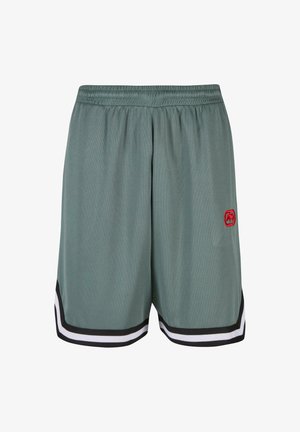 Gaiši zaļi sporta šorti ar elastīgu jostasvietu, melnbaltu svītru apdari un mazu sarkanu logotipu kreisajā pusē.