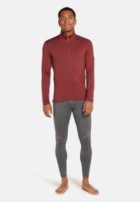 icebreaker 260 TECH - Calzoncillo largo - gritstone hthr