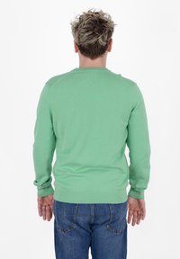 Maglione verde menta con maniche lunghe, polsini e orlo a costine, scollatura rotonda e design senza cuciture sulle spalle. Indossato con jeans blu.