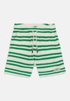 Shorts - ancient white/radiant green