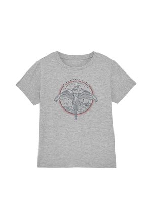 Cotton Soul, HARRY POTTER ORDER OF THE PHOENIX UNISEX - T-Shirt print - mottled light grey