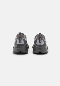 Adidas Terrex TERREX TRAILMAKER 2 GORE-TEX X NATGEO - Fjellsko - halo silver/grey four/grey six