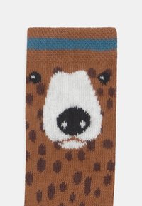 Ewers BEAR KNEE HIGH 2 PACK UNISEX - Podkolienky - multi-coloured