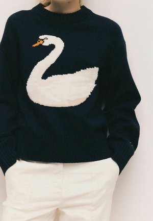 Personne portant un pull sombre avec un grand graphique de cygne blanc à l'avant, associé à un pantalon de couleur claire, les mains dans les poches.
