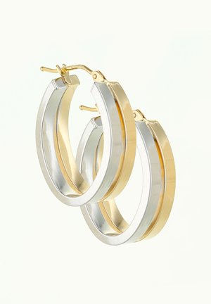 Earrings - gold