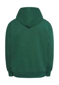 Dropsize HEAVY PUFFER PRINT  - Hoodie - washed green