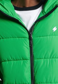 Superdry & Co Giacca invernale - green
