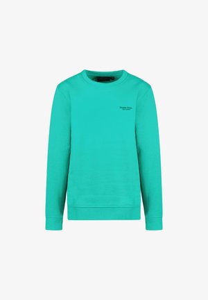 Cars Jeans BYTO SW BERRY - Sweater - green