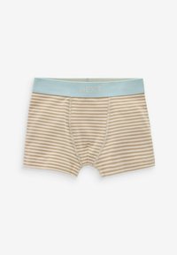 Next 10 PACK STANDARD - Panties - neutral transport print