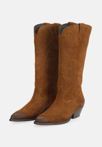 Stivali da cowboy in suede marrone con punte affusolate, cuciture decorative e linguette per il sollevamento, dotati di tacco basso e dettagli in pelle liscia.