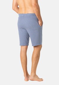 Shorts pour hommes à rayures bleues et blanches, fabriqués en tissu doux. Présentent des poches, une coupe ajustée et des jambes ourlées.