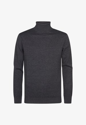 Petrol Industries, PETROL INDUSTRIES TURTLENECK - Trui - steal melee