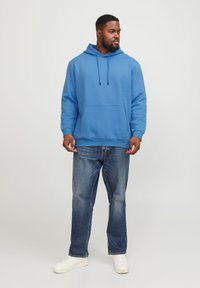 Jack & Jones JJEBRADLEY HOOD - Sweatshirt - pacific coast