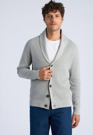 Man met krullend haar die een lichtgrijze gebuttonde cardigan draagt over een wit overhemd en blauwe spijkerbroek tegen een effen lichte achtergrond.