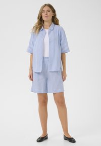 Set di camicia a righe blu chiaro e pantaloni corti, realizzato in tessuto morbido. Camicia con bottoni e maniche corte, pantaloni corti abbinati con una cintura elastica.