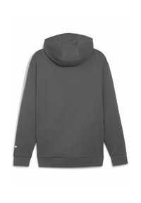 Puma RAD CAL HALF-ZIP - Mikina s kapucňou - mineral gray