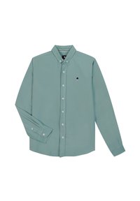 Hellgrünes Langarmshirt mit einem Button-Down-Kragen und einem kleinen marineblauen Baumemblem auf der Brust. Aus einem glatten Baumwollstoff gefertigt.