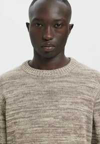 Strickpullover in hellem Beige mit unterschiedlicher Textur, rundem Ausschnitt und gerippten Bündchen. Einfaches Design mit einem weichen, komfortablen Erscheinungsbild.