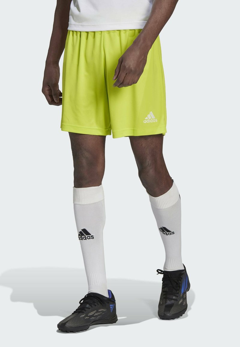 adidas Performance ENTRADA 22 - Korte broeken - yellow