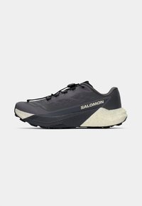 Chaussure de trail en gris foncé, présentant une tige synthétique texturée, des accents réfléchissants et une semelle distinctive de couleur claire.