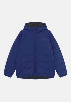 FROOSY UNISEX - Down jacket - victory blue/black