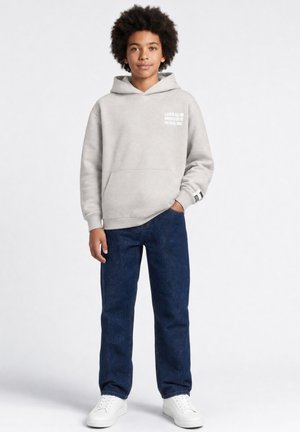 Petrol Industries, GRAPHIC HOODED SWEATER FORGEPARK - Hoodie - ice grey