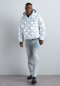 BLUEMARBLE HOODED EMBROIDERED - Casaco de inverno - reflective silver