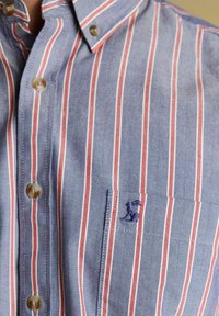 Mėlyna ir raudona vertikaliai dryžuota marškinė su ruda mygtukais ir maža išsiuvinėta logotipu kairiajame krūtinės kišenėje.