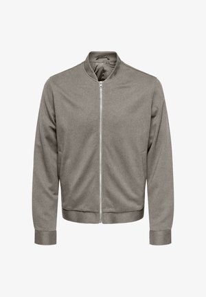 Gray bomber jacket with a zip front, round neck, and long sleeves. Made from a smooth fabric with a minimalist design and ribbed cuffs.