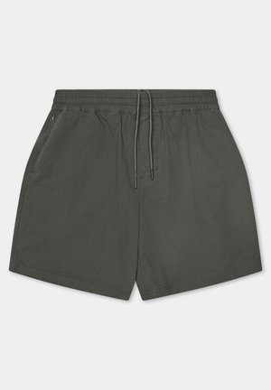 Grijze, lichte zwemshorts met een elastische tailleband en een koord, en zijzakken. Gladde textuur, boven de knie lengte.