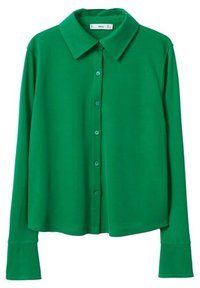 Chemise verte à manches longues, boutonnée, avec larges poignets et col pointu, présentée sur fond blanc.