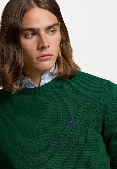 Polo Ralph Lauren COTTON CREWNECK SWEATER - Pulover - new forest