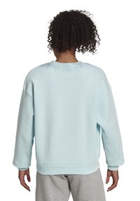 Sweatshirt bleu clair à coupe ample, col rond et poignets côtelés. Présente la mention "ALL SZN" embossée sur le haut du dos. Texture de tissu douce.