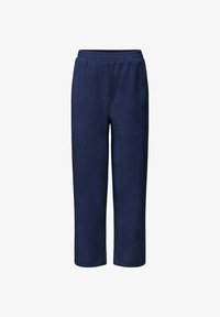 Izbrano, medieval blue